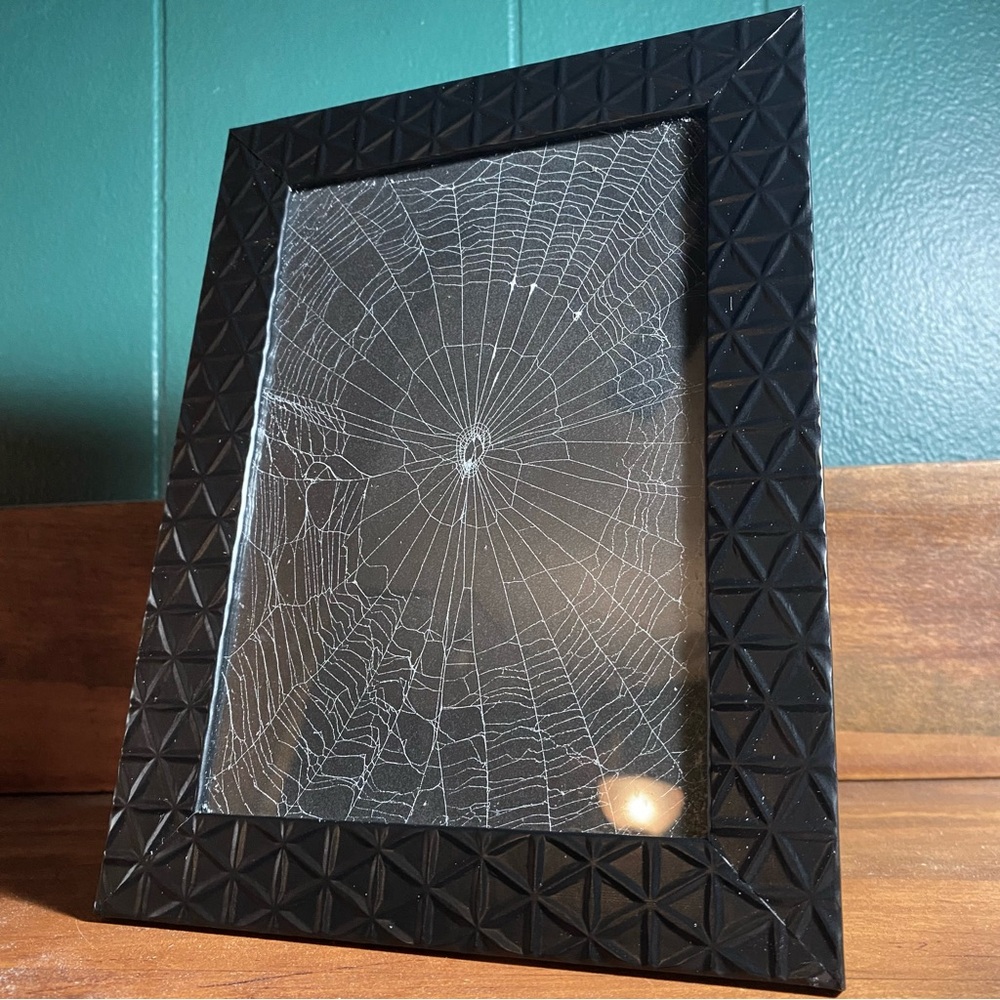 Real Spiderweb Frame 🕷️ 🕸️ - Picture 4 of 7